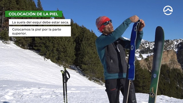 Cómo poner correctamente las PIELES de FOCA, esquí de montaña