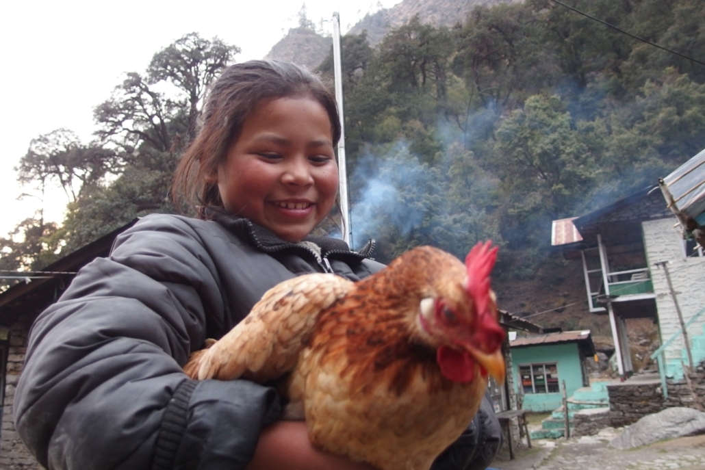 nepal niña gallina, trek de himalayas