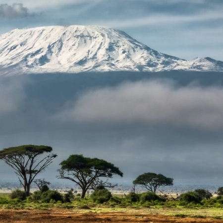 Ascensión al Kilimanjaro (5.895m), la cima de África, kilimanjaro safari