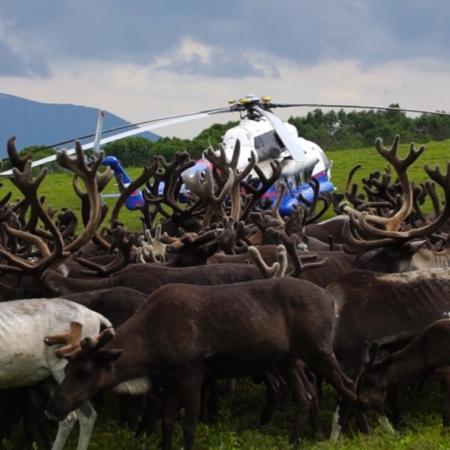 Viaje Kamchatka en Helicóptero y renos