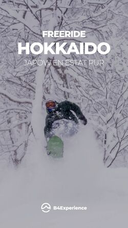 Viatge Freeride Hokkaido