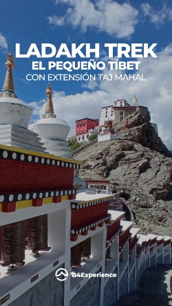 Ladakh trek, el pequeño tibet. Extensión Taj Mahal