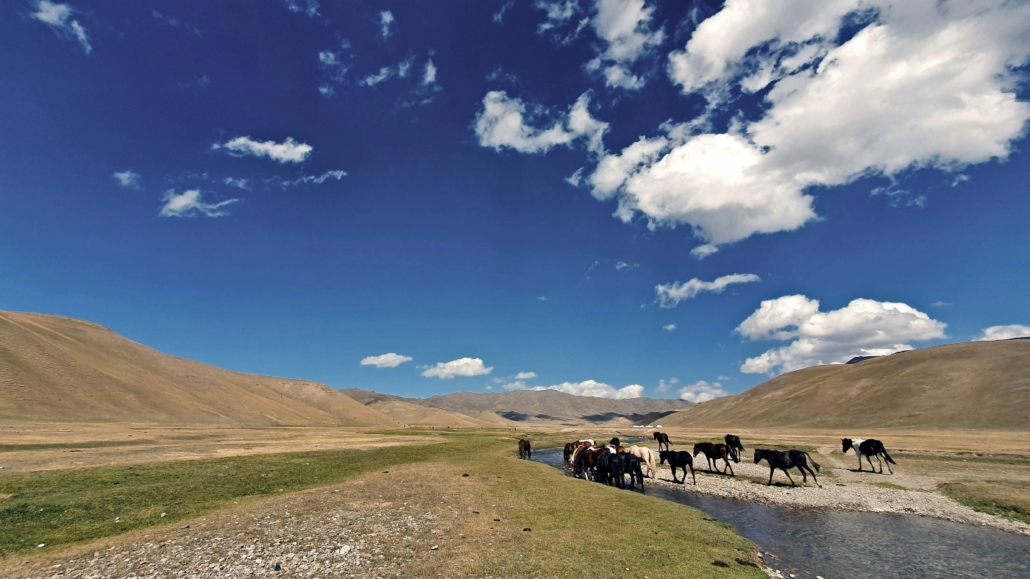 kirguistan caballos