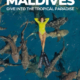 Maldives beaches and underwater fauna trip