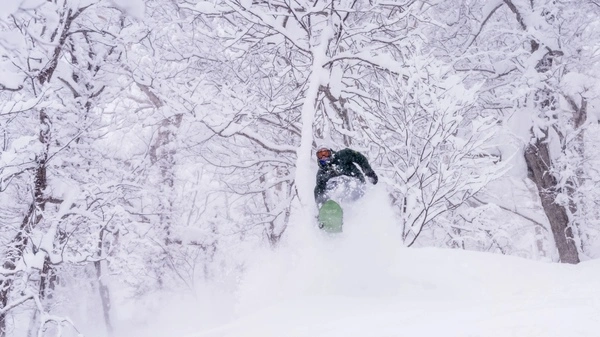 rider surfing powder snow in Hokkaido