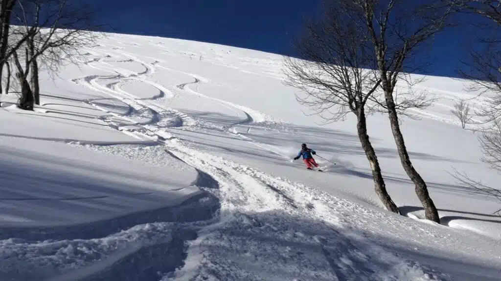 Skier carves fresh tracks through untouched snow with B4Experience.