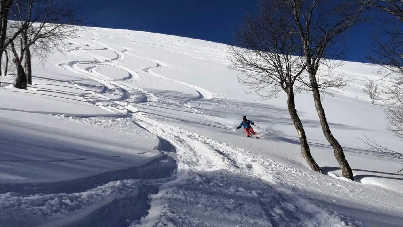 Skier carves fresh tracks through untouched snow with B4Experience.