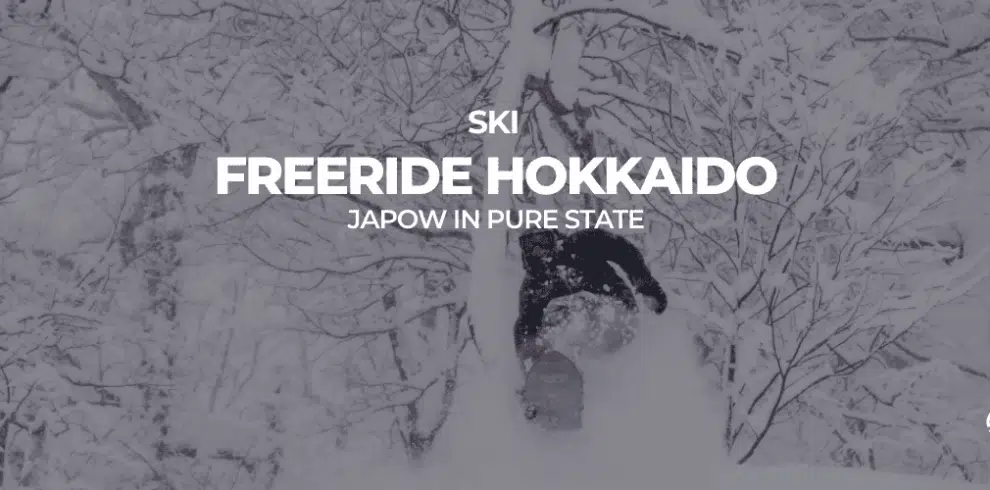 Freeride Hokkaido Japow in pure state with B4Experience