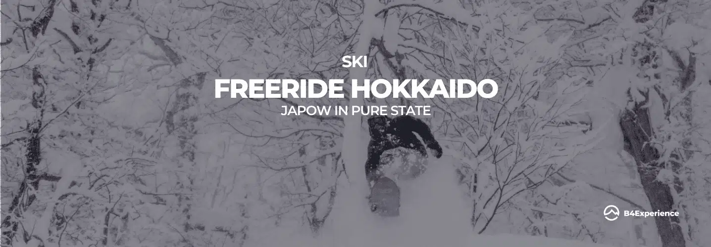 Freeride Hokkaido Japow in pure state with B4Experience
