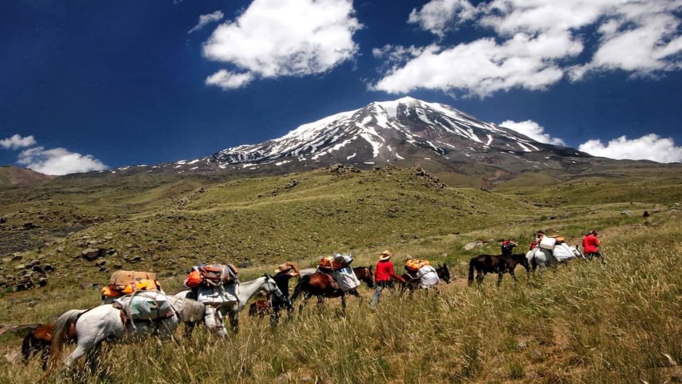 Pack horses cross green slopes toward Ararat - B4Experience.