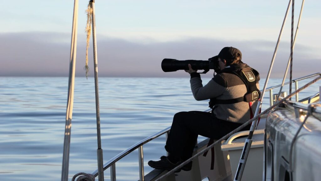 Photographer with wide angle shooting arctic fauna