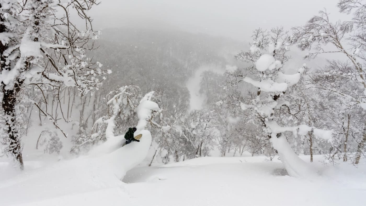 Skier navigating deep powder in a snowy forest with B4Experience