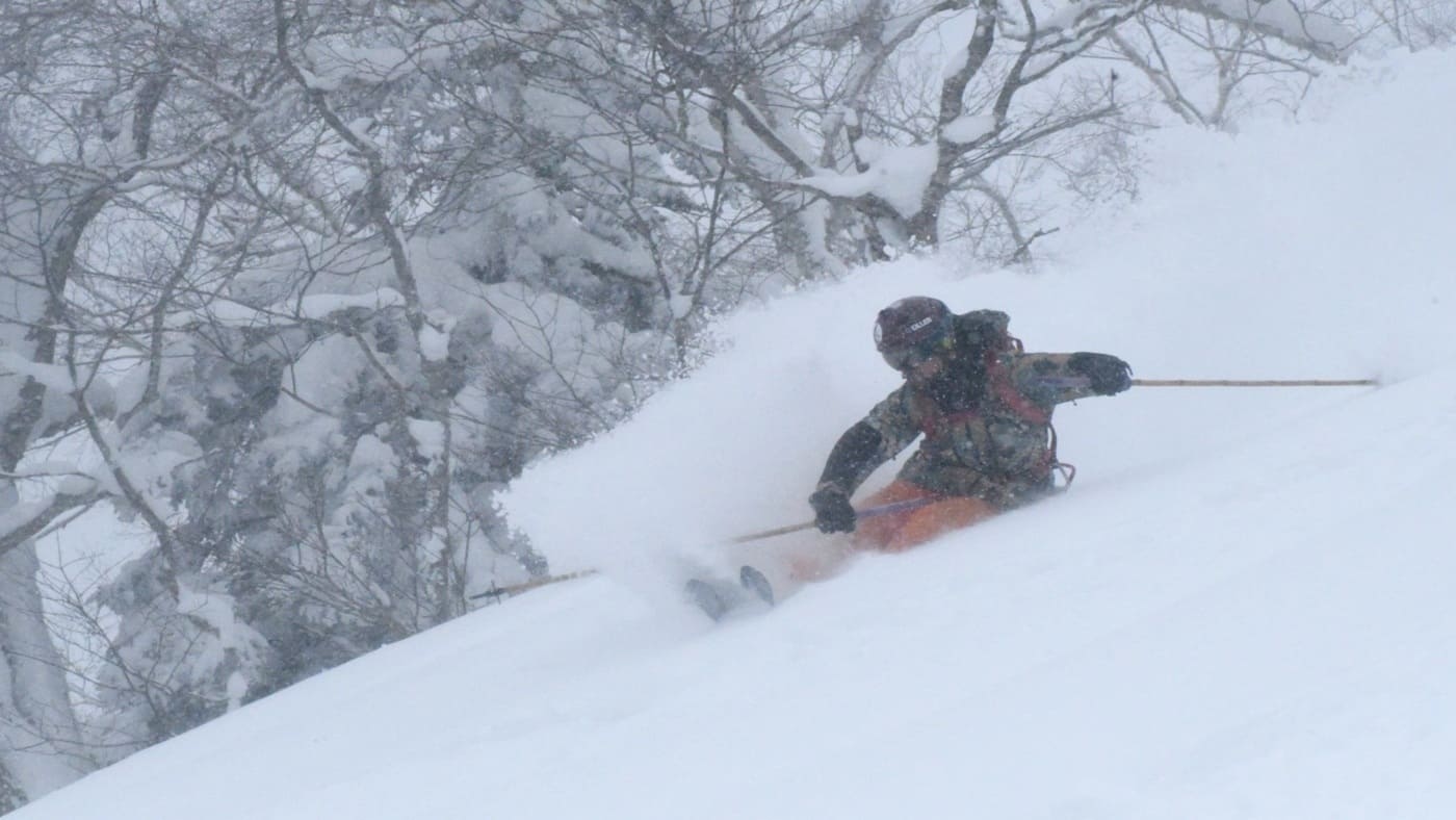 Skier cutting through deep powder in a snowy forest with B4Experience