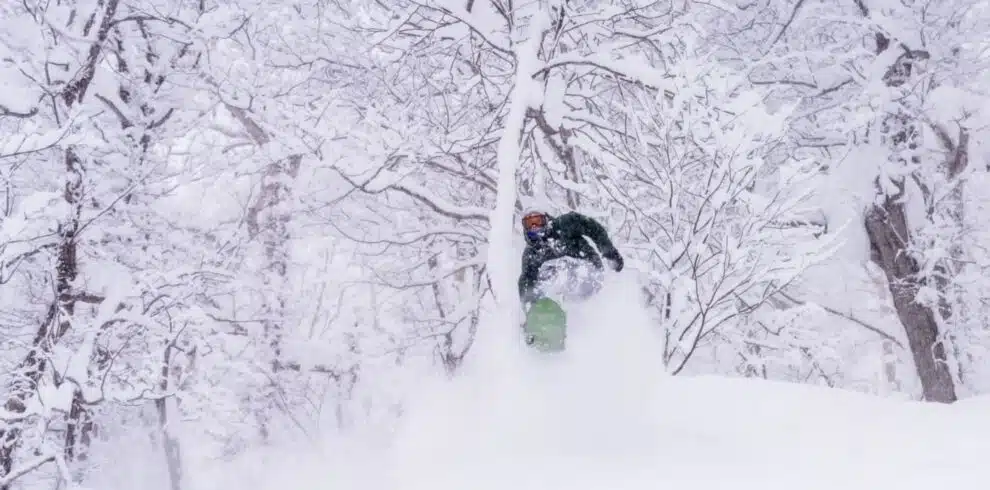 Skier gliding through deep powder in a snow-covered forest with B4Experience