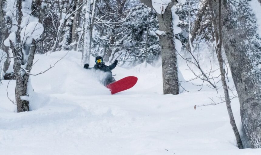 ¿WHY IS THE BEST POWDER SNOW IN HOKKAIDO?