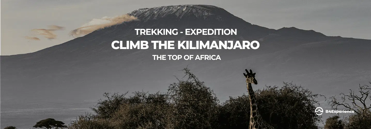 Trekking Expedition climb the Kilimanjaro with B4Experience