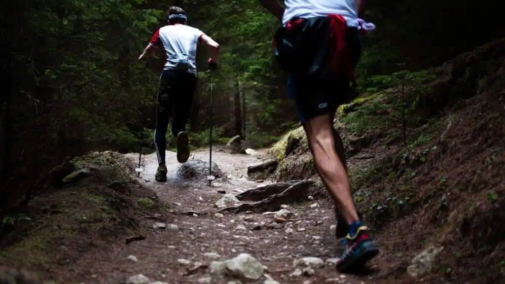 Trail runners moving uphill on a forested path - B4Experience.