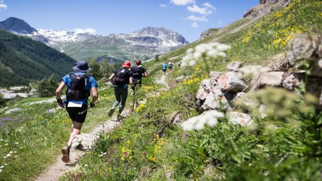 Trail runners on an alpine path surrounded by wildflowers with B4Experience