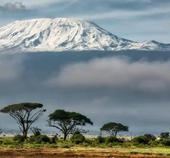 Mount Kilimanjaro towering over the African savannah with B4Experience