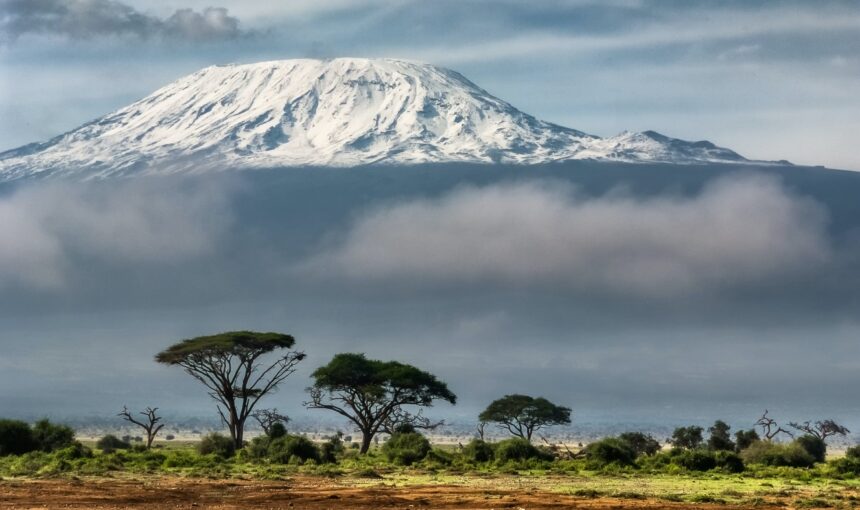 CONEIXES ELS TRES 5000’ A ÀFRICA I COM ESCALAR-HI?