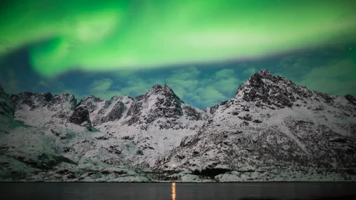 Northern Lights in Nordic Winter