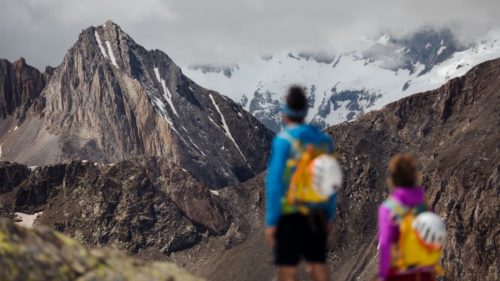 Running Pyrenees (1)