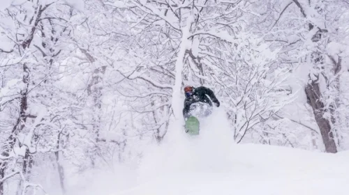 rider surfing powder snow in Hokkaido