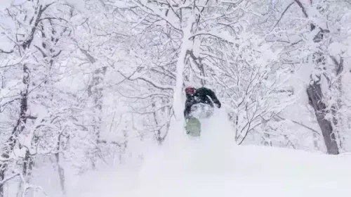 rider surfing powder snow in Hokkaido